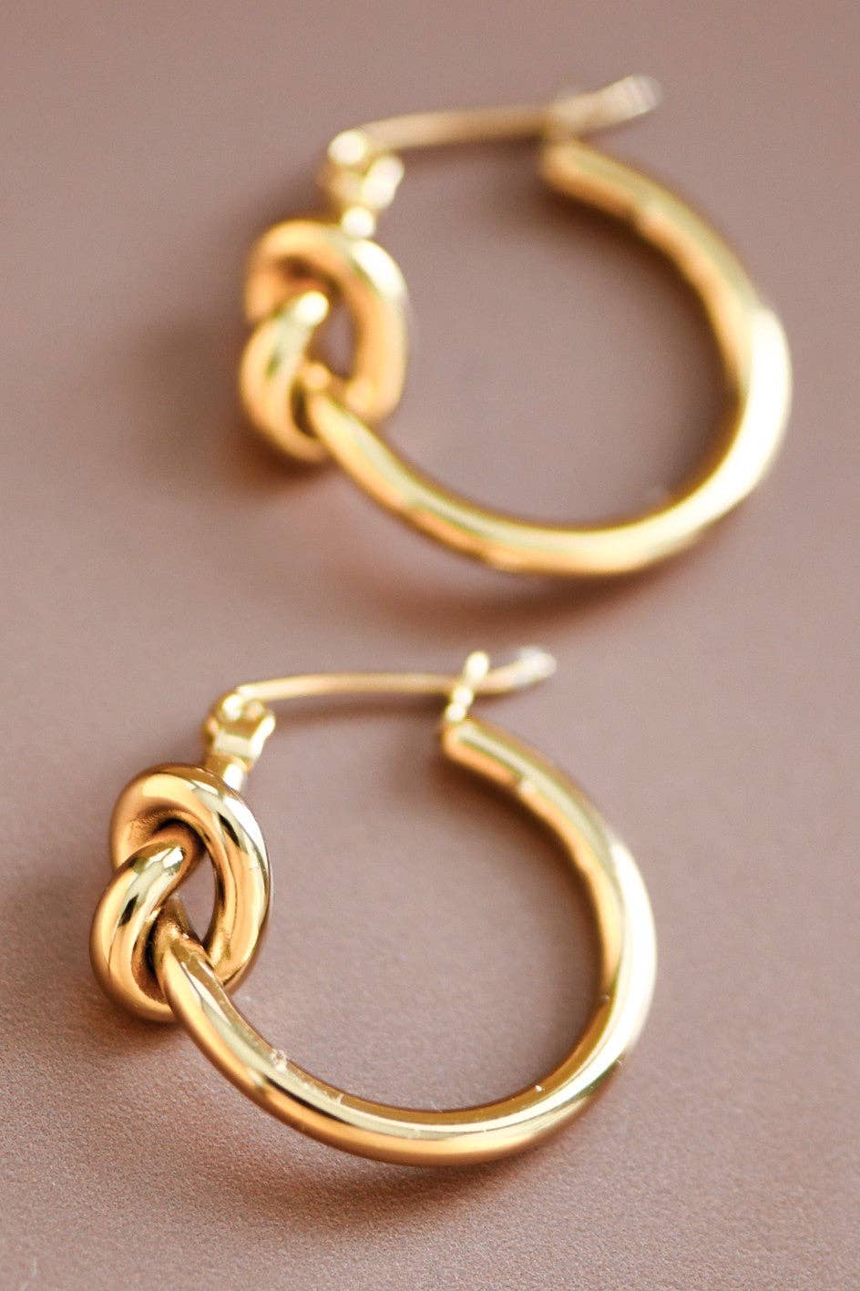 Twisted Hoop Earrings